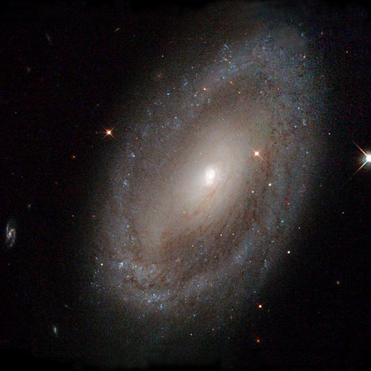 Spiral galaxy NGC 3185 in Leo
